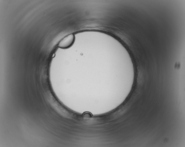X0000111611458200908141242