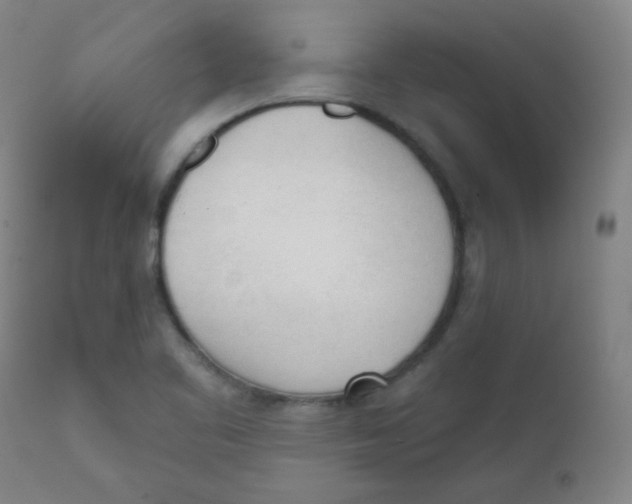 X0000111611461200908141242