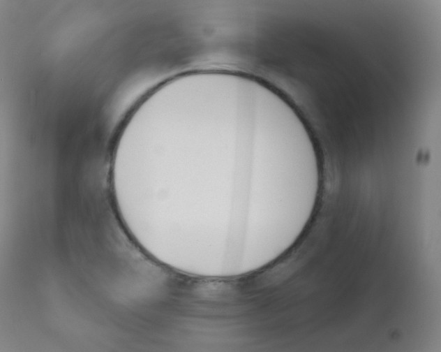 X0000111611462200908141242