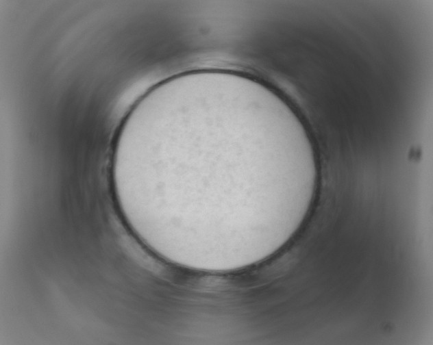 X0000111611463200908141242