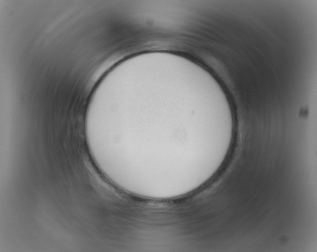 X0000111611465200908141242