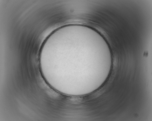 X0000111611466200908141242