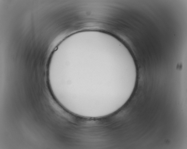 X0000111611467200908141242
