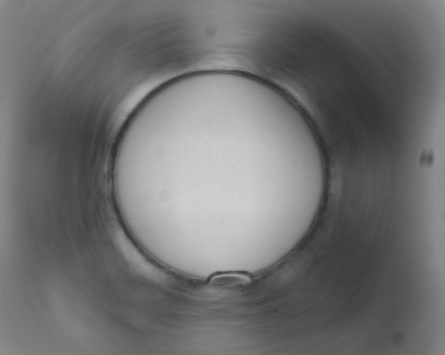 X0000111611468200908141242