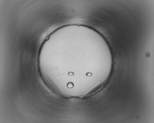X0000111611469200908141242