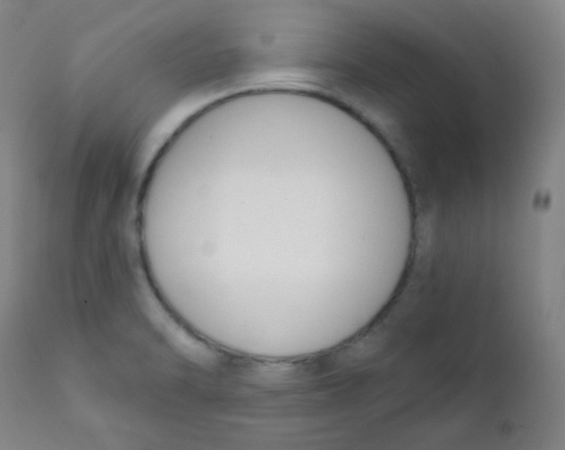 X0000111611470200908141242