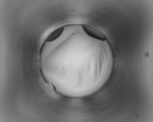 X0000111611472200908141242