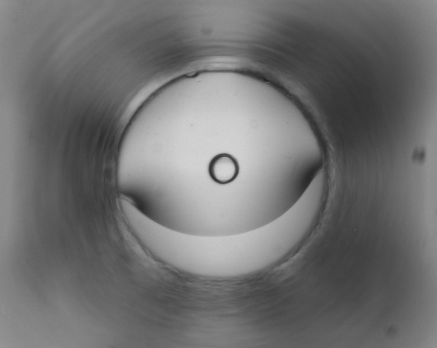 X0000111611473200908141242