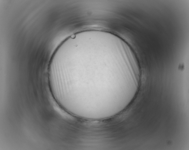 X0000111611474200908141242