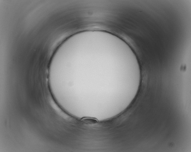 X0000111611476200908141242
