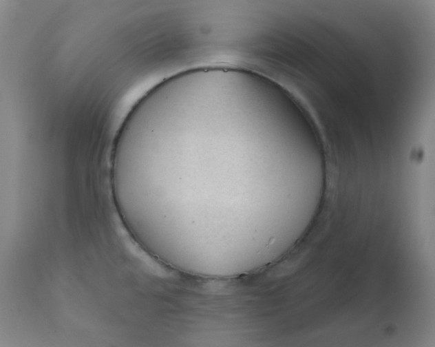 X0000111611480200908141242