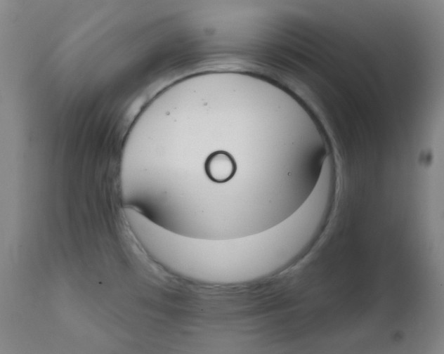 X0000111611481200908141242