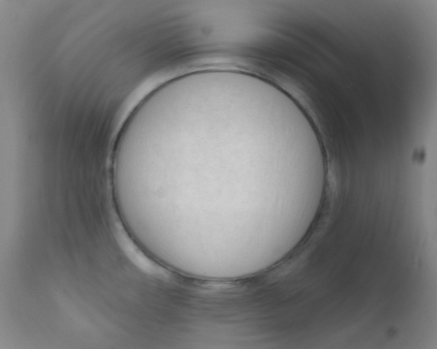 X0000111611482200908141241
