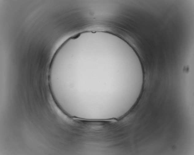 X0000111611484200908141241