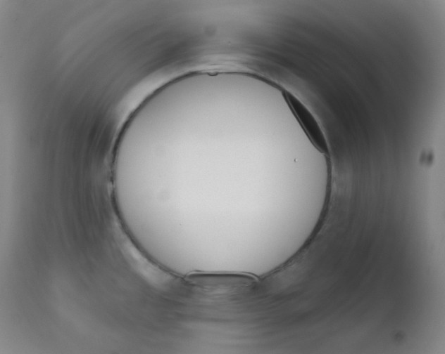 X0000111611485200908141241