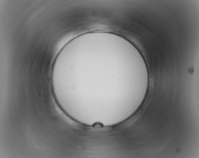 X0000111611487200908141241