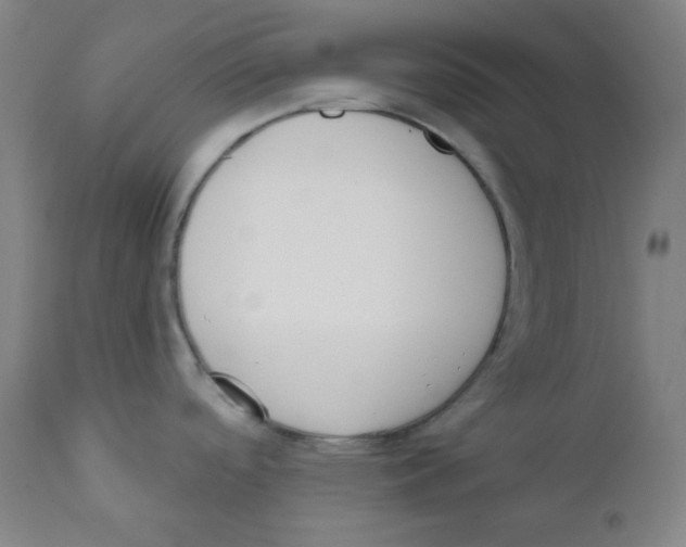 X0000111611488200908141241