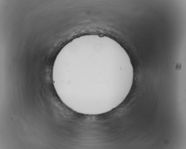 X0000111611490200908141241