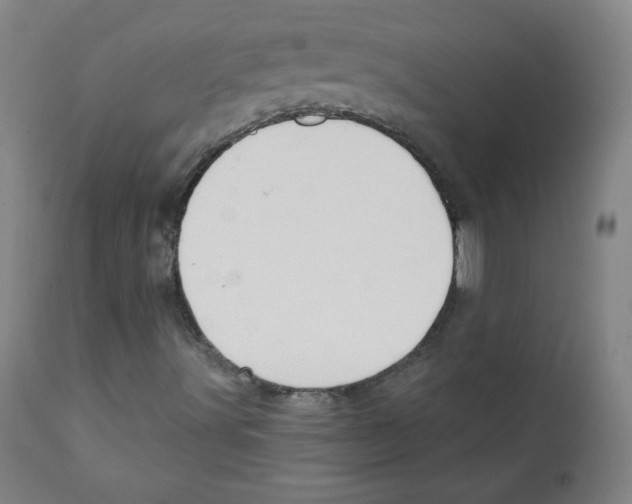 X0000111611491200908141241