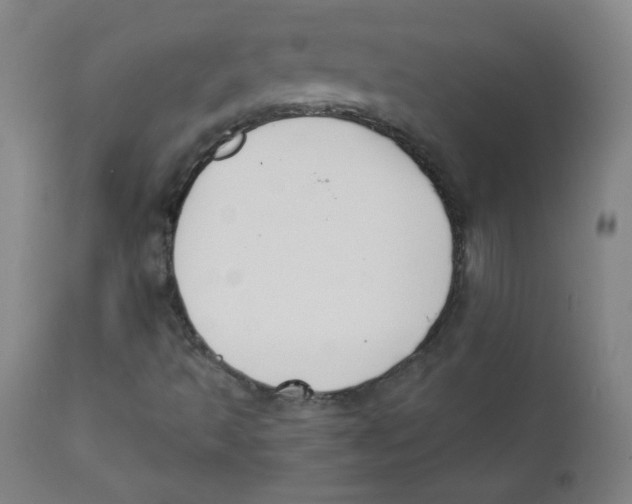 X0000111611493200908141241