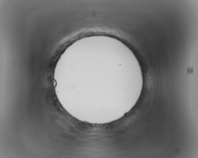 X0000111611494200908141241