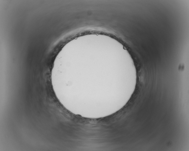 X0000111611495200908141241