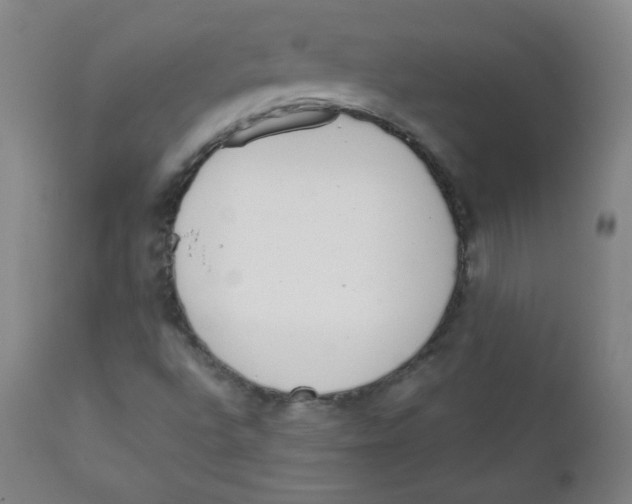 X0000111611496200908141241