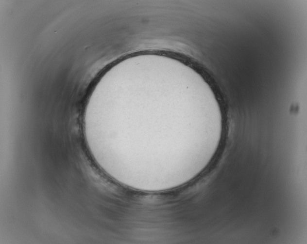 X0000111611497200908141241