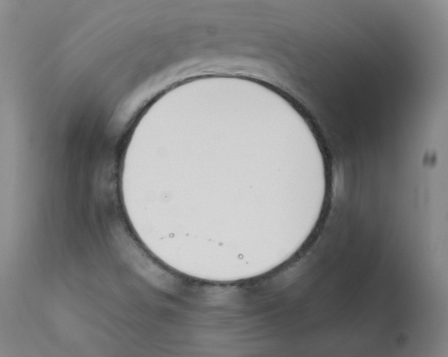 X0000111611498200908141241