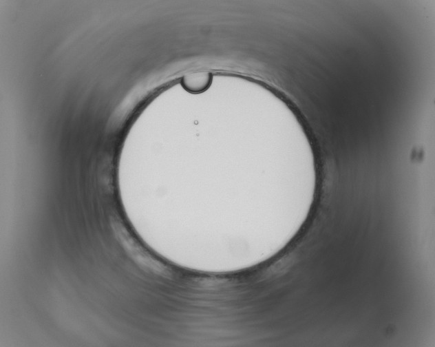 X0000111611499200908141241