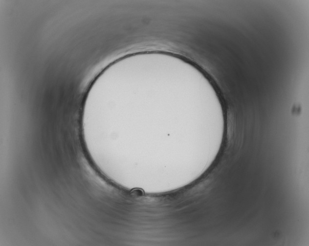 X0000111611500200908141241