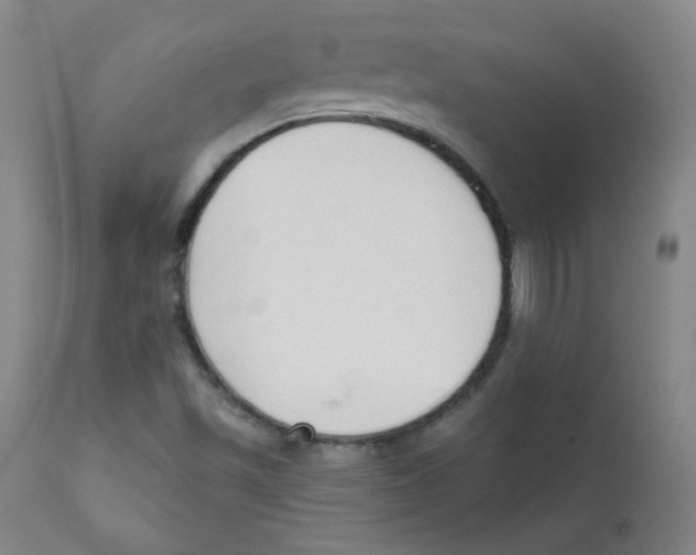 X0000111611501200908141241
