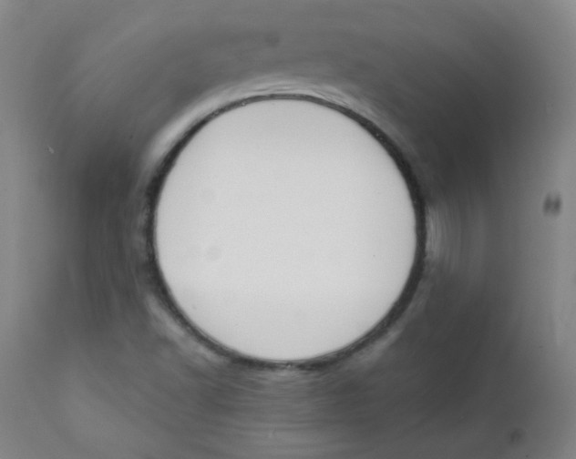 X0000111611502200908141241