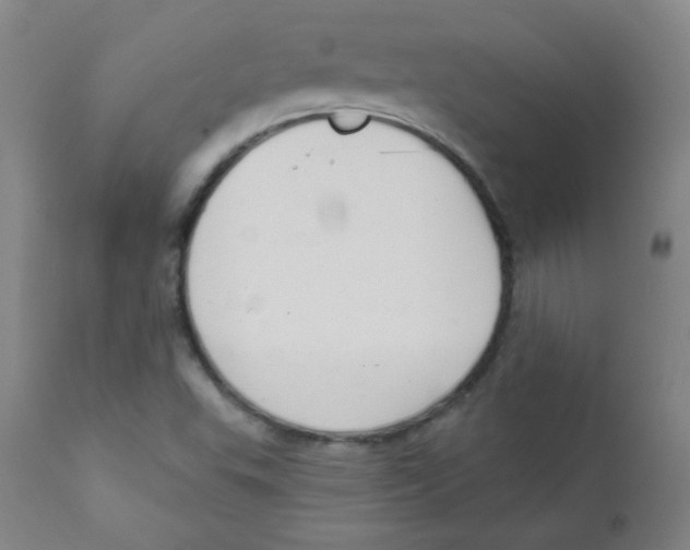 X0000111611503200908141241