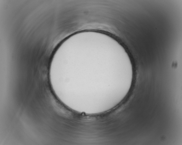 X0000111611505200908141241