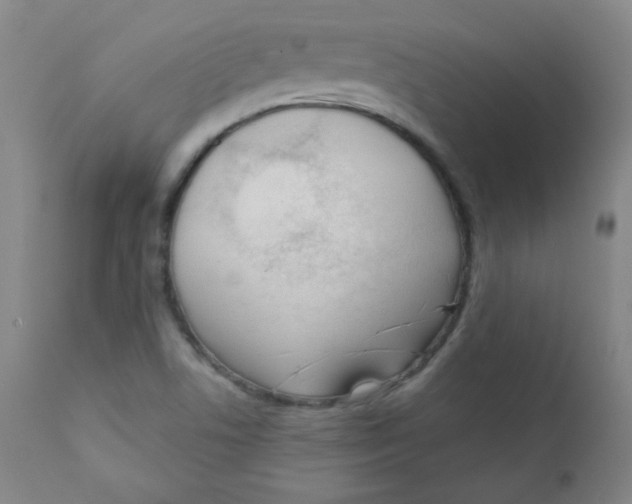 X0000111611506200908141241