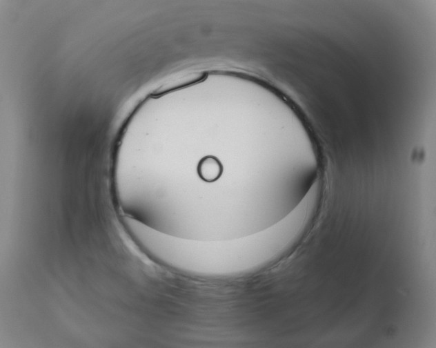 X0000111611508200908141241