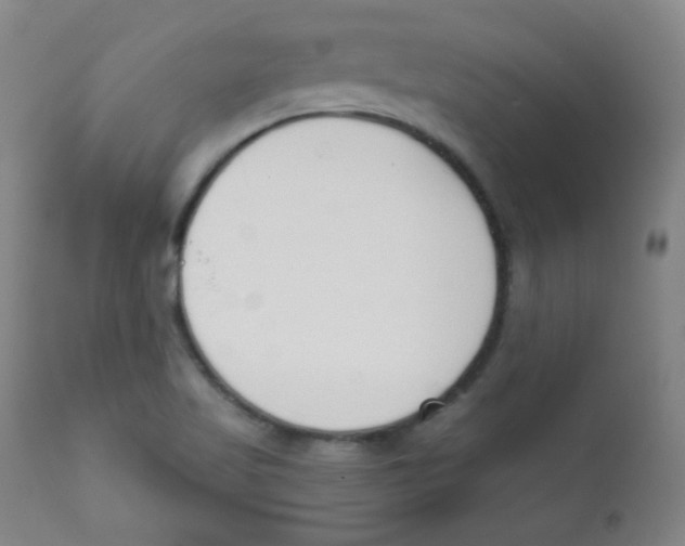 X0000111611509200908141241