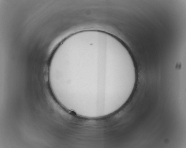 X0000111611510200908141241