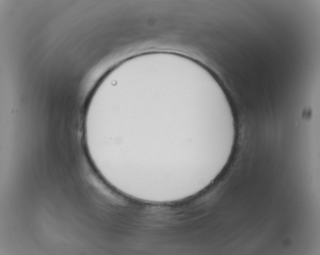 X0000111611511200908141241