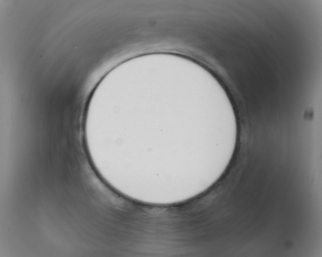 X0000111611512200908141241
