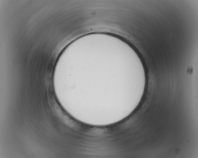 X0000111611513200908141241