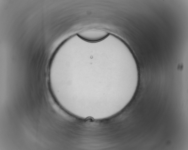 X0000111611515200908141241