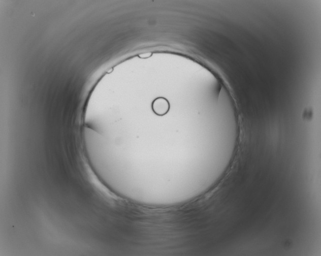 X0000111611516200908141241