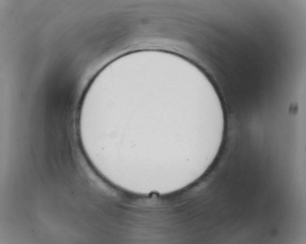 X0000111611517200908141241