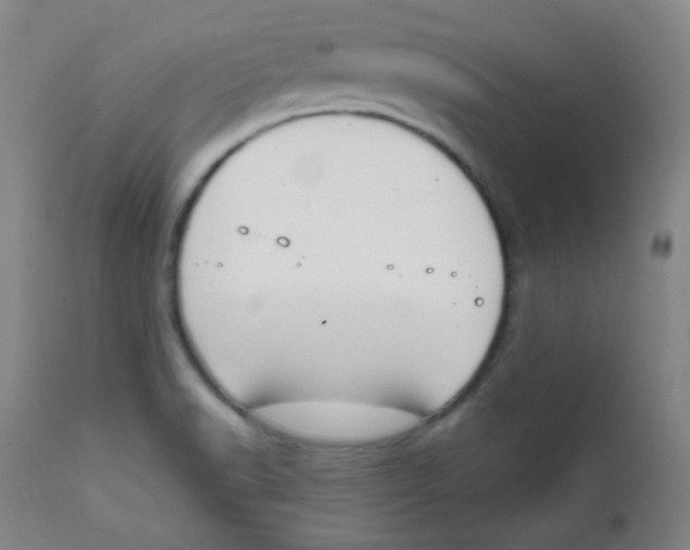X0000111611518200908141241