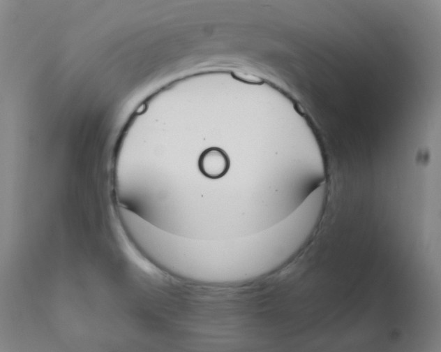 X0000111611519200908141241