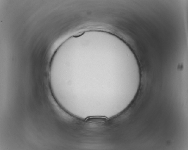 X0000111611520200908141241