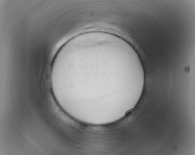 X0000111611522200908141241