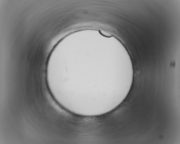 X0000111611523200908141241